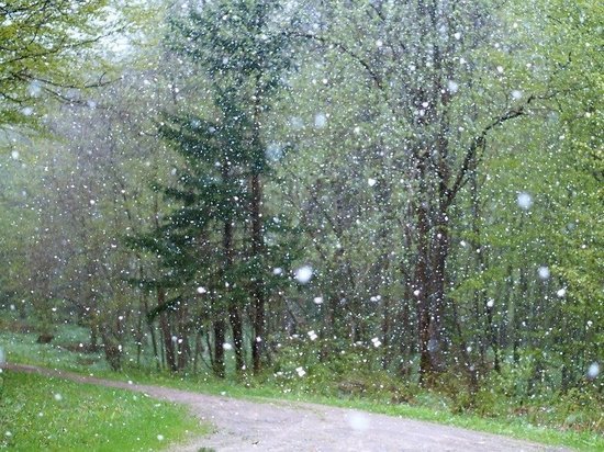 Жителей Томска ожидают дожди с мокрым снегом и ночные заморозки 25 сентября