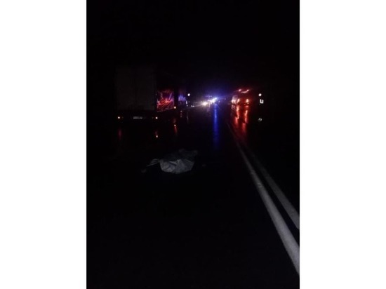 В Марий Эл под колесами нескольких авто погиб пешеход