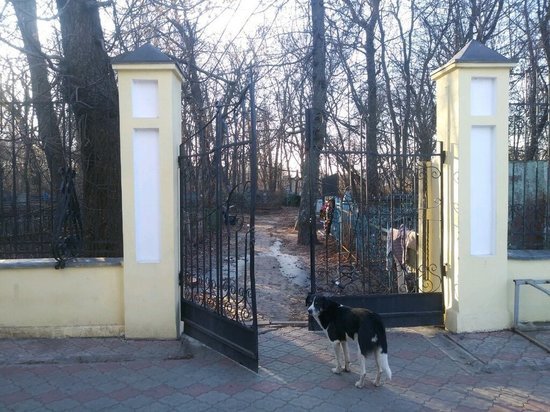 Херсонское кладбище Курска досталось оскандалившейся компании