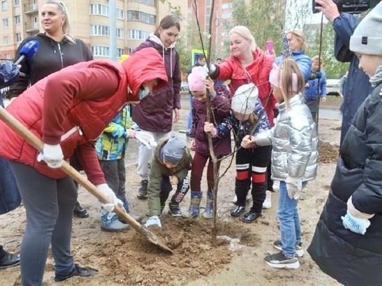 На территории новой школы в Серпухове высадили деревья