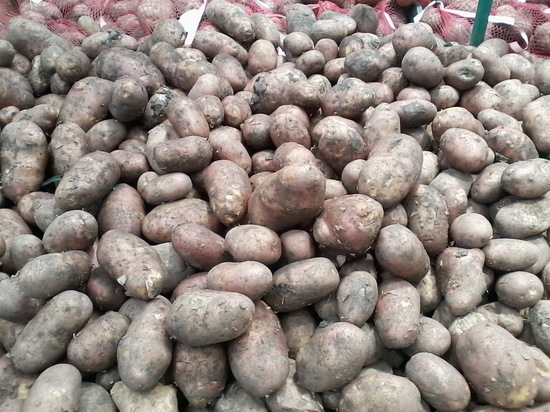 Оптовая цена картофеля в Саратовской области выросла до 37 рублей