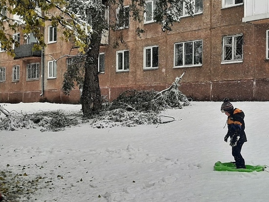 В Кемерове в конце сентября дети играют в снежки и катаются на санках