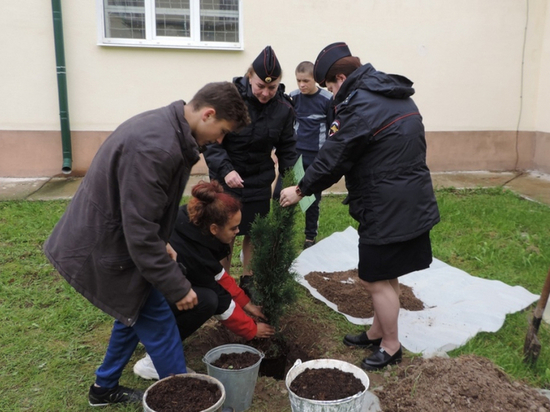 Новгородские полицейские высадили дерево в память о погибшем на Северном Кавказе коллеге