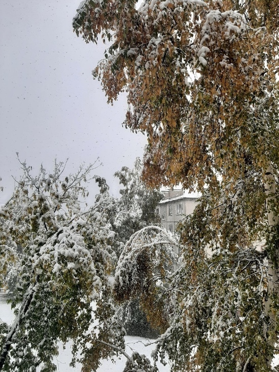 Кемеровские синоптики назвали причину сентябрьского снегопада