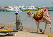 Российская туристка отдохнула в пятизвездочном отеле и осталась недовольна низким уровнем сервиса