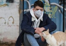 За последние сутки в Москве выявили 3387 случаев заражения коронавирусом, сообщает оперштаб по борьбе с инфекцией