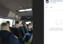 27 сентября подписчики соцсетей умилились фотографиям необычного пассажира маршрутки в Старом Осколе