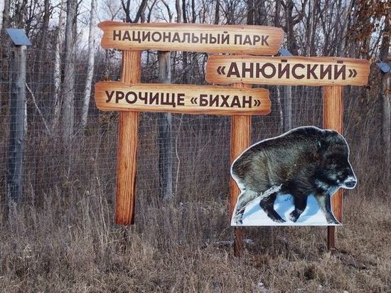 Министр юстиции России прошел по экологическим тропам в Хабаровском крае