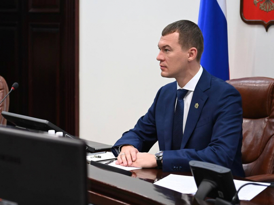 Встреча прошла в режиме видеоконференции