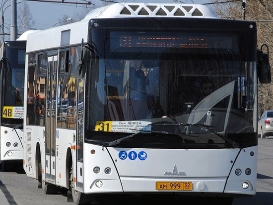 Брянские активисты предложили мэрии новые автобусные маршруты