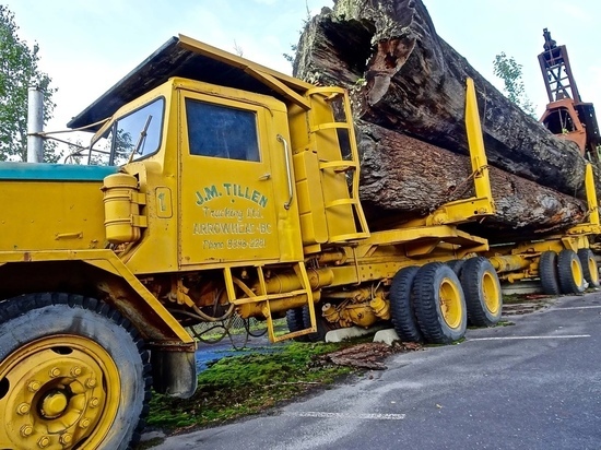Житель Козельского района потерял 180 тысяч, покупая лесовоз