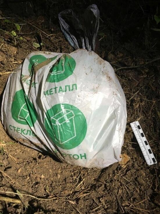 Срок в 15 лет грозит 28-летнему смолянину за семь килограмм марихуаны