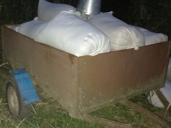 На Смоленщине задержали с поличным похитителей тонны зерна