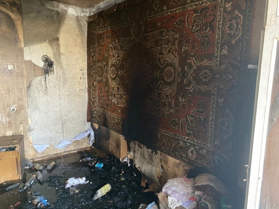 Обугленное тело нашли на пепелище в старорусской деревне