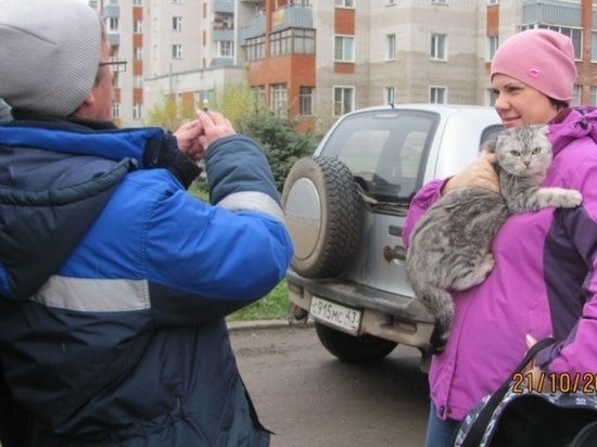 В Кирове организуют бесплатную вакцинацию домашних животных