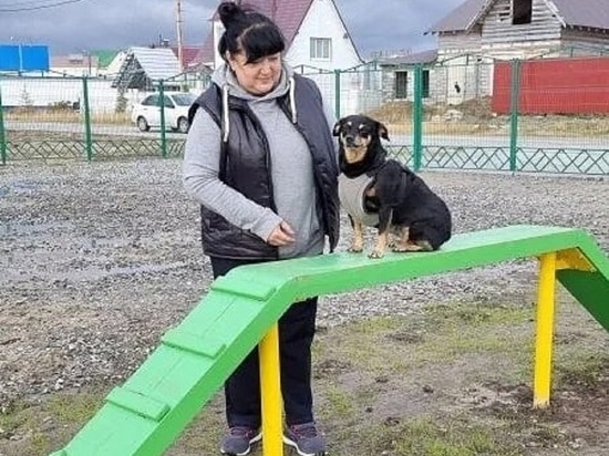 Первую специализированную площадку для выгула собак открыли в Тазовском