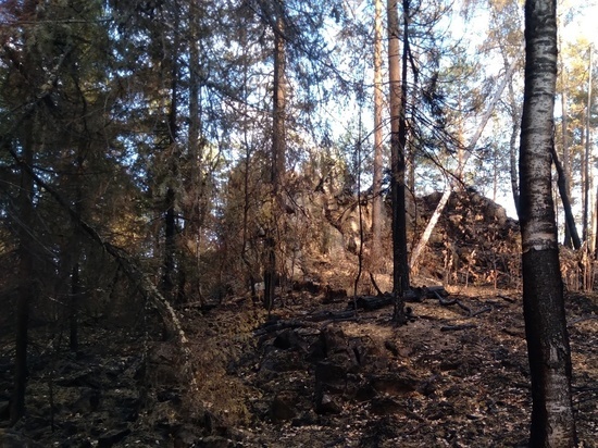 Найден мертвым сбежавший из  Екатеринбургского гарнизона военнослужащий