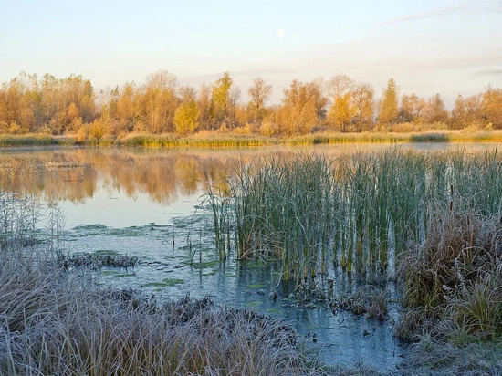 29 сентября в Смоленской области возможны небольшие заморозки