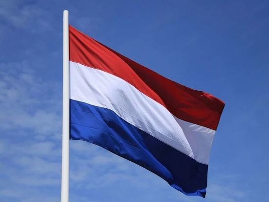 Члена совета Гааги заподозрили в покушении на премьера Нидерландов