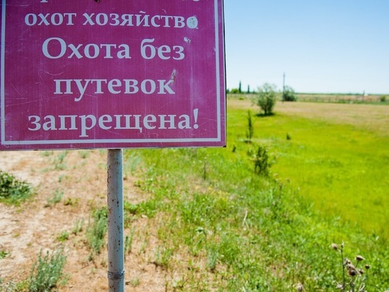 После начала сезона охоты в Астраханской области выявили 48 нарушений