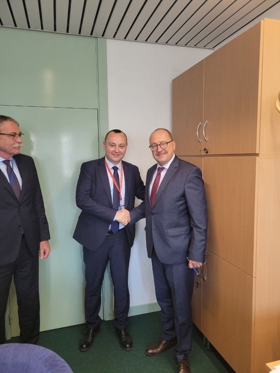Батрынча и Рэйляну встретились с делегациями Венгрии и Турции в ПАСЕ