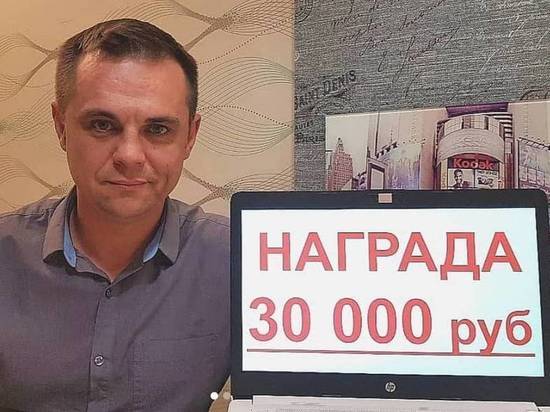 Награду в 30 000 рублей объявил житель Красноярска за информацию об убийцах двух лис