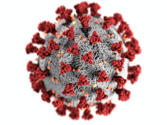 За сутки в Бурятии умерли четыре человека от коронавируса