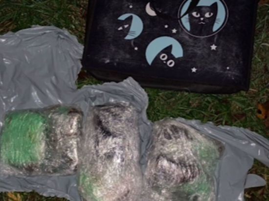 Полицейские изъяли у двух женщин в Ленобласти 3 кг наркотиков