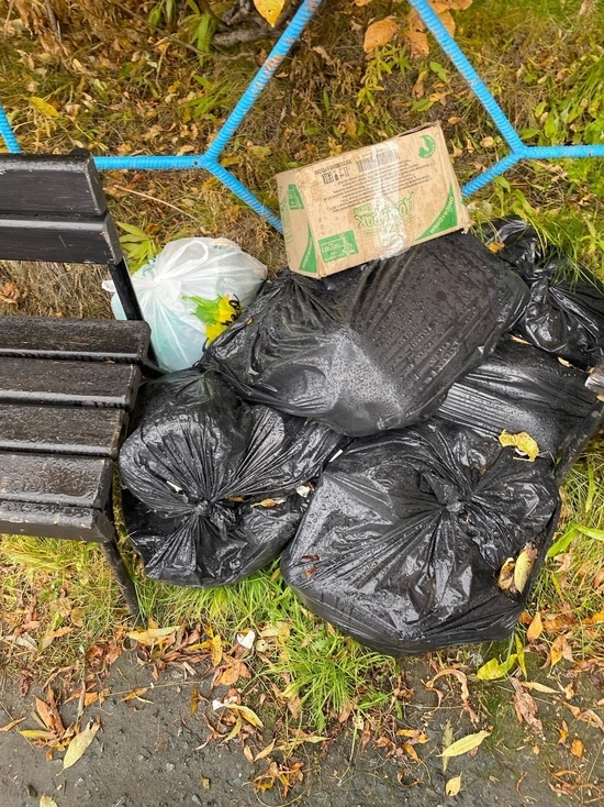 А щука в чем виновата: на выбрасывающих мусор у подъезда соседей жалуется житель Лабытнанги