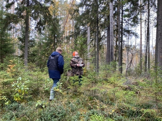 В Тверской области нашли тело пропавшего подростка