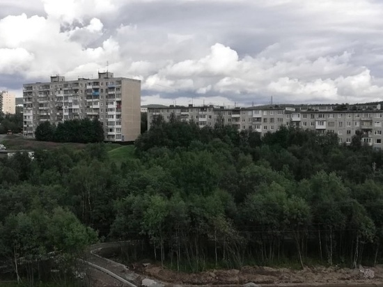 В Мурманске вырубят больные и поврежденные деревья