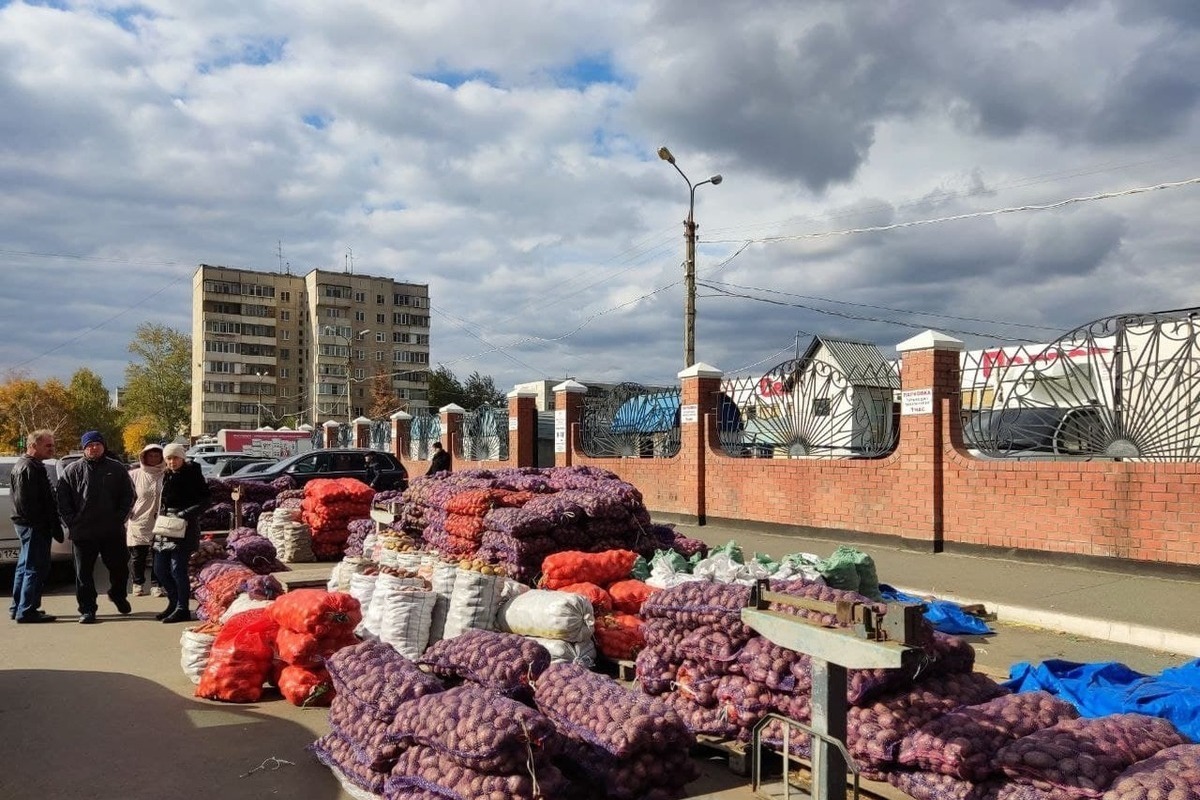 Купить Коммерцию В Челябинске Адреса