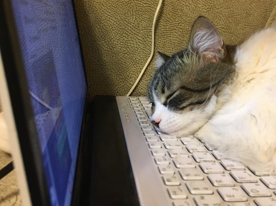 В УМВД смолян предупредили о двойной схеме обмана