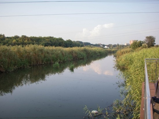 Эксперты АНО «Парк Темерник» хотят создать дирекцию водного объекта