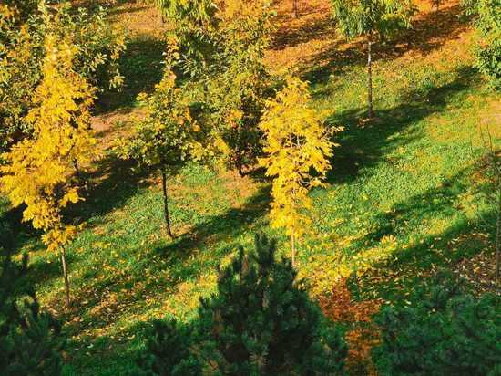 Озвучен прогноз погоды в Хабаровске на 30 сентября 2021