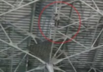 Представитель экстренных служб города Москвы сообщил журналистам, что мужчину, забравшегося под крышу терминала в аэропорту Внуково и не желавшего спускаться добровольно, удалось снять с высоты