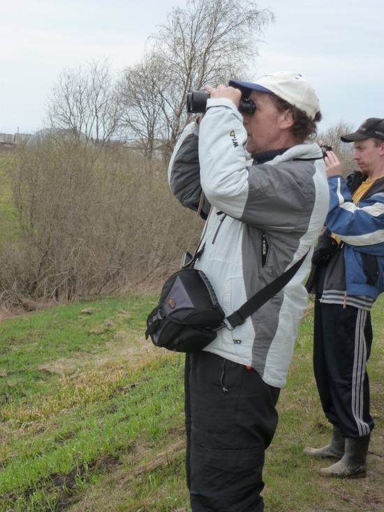 Жителей Тверской области приглашают фотографировать птиц