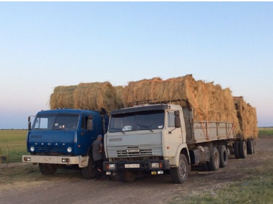 В Чурапчинском районе Якутии нехватку сена компенсируют поставками из Амурской области и Забайкалья