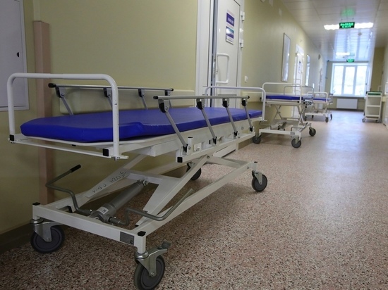 На Южном Урале за сутки от ковидной пневмонии скончались 24 пациента