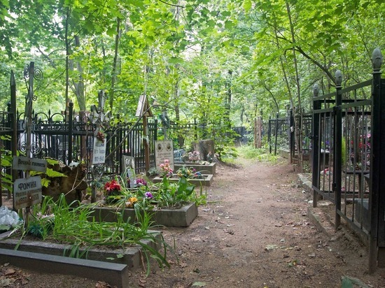 Второй пошел: в Ярославле теперь уволился главный по кладбищам