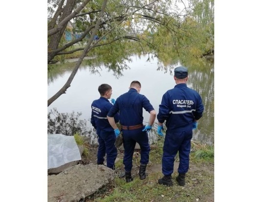В пригороде Йошкар-Олы 30 сентября в пруду обнаружили тело мужчины