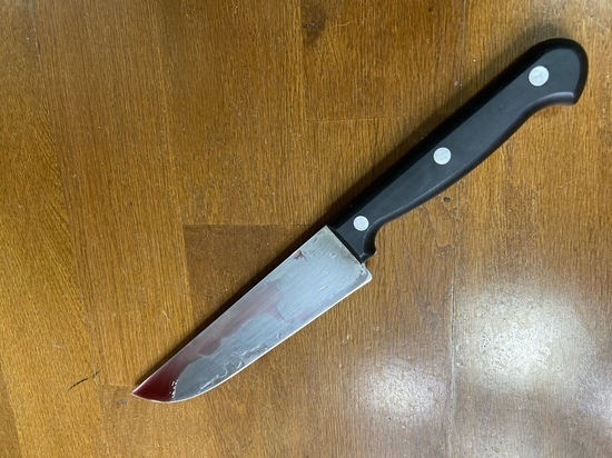 Житель Ясногорска воткнул нож в бедро собутыльнику