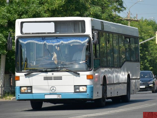 Во Владимире отменили временный автобусный маршрут № 30С