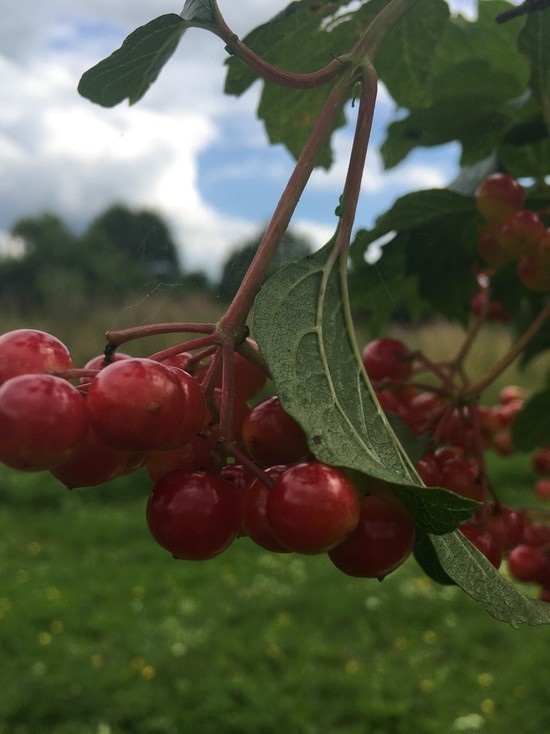 Первый день октября дарит Смоленску солнечную погоду