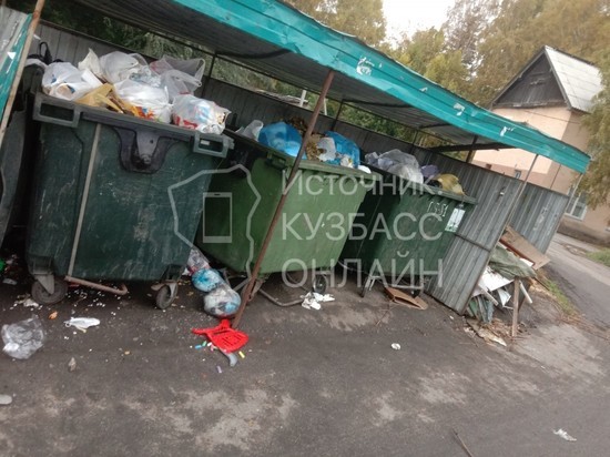 Кузбассовцы назвали причину страха подходить к мусорным бакам по ночам