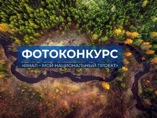 До 30 тысяч за снимок: фотоконкурс объявили депутаты Ямала