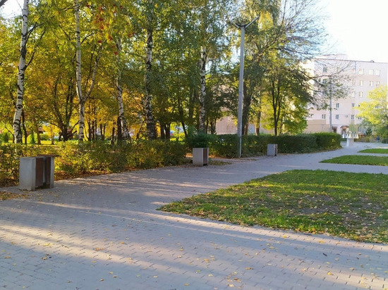 В Рязани шесть новых скамеек в парке у кинотеатра «Октябрь» разрушили вандалы