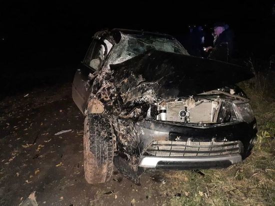 Mitsubishi Pajero улетел в кювет в Чувашии, водитель погиб