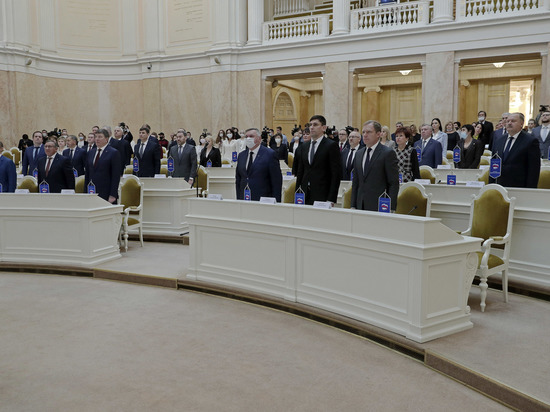 Парламент Петербурга потребовал сформировать два новых комитета