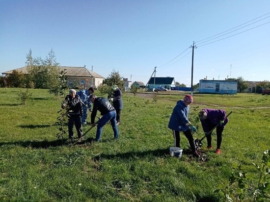 В Волоконовском районе высадили Аллею памяти